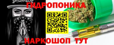 стаф Гудермес