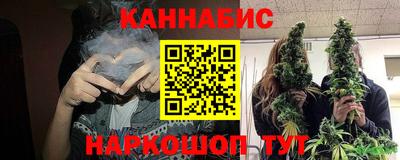 стаф Гудермес