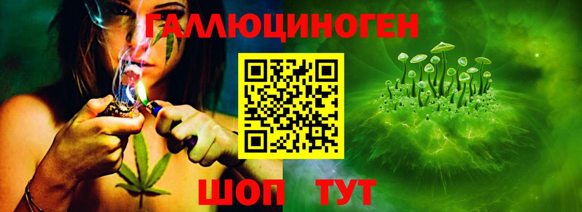 Псилоцибиновые грибы Psilocybe Вышний Волочёк
