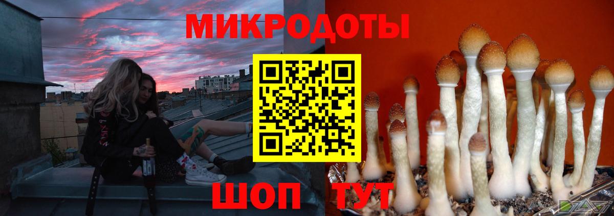 Вышний Волочёк  Галлюциногенные грибы GOLDEN TEACHER  купить наркотики цена  Вход с VPN 